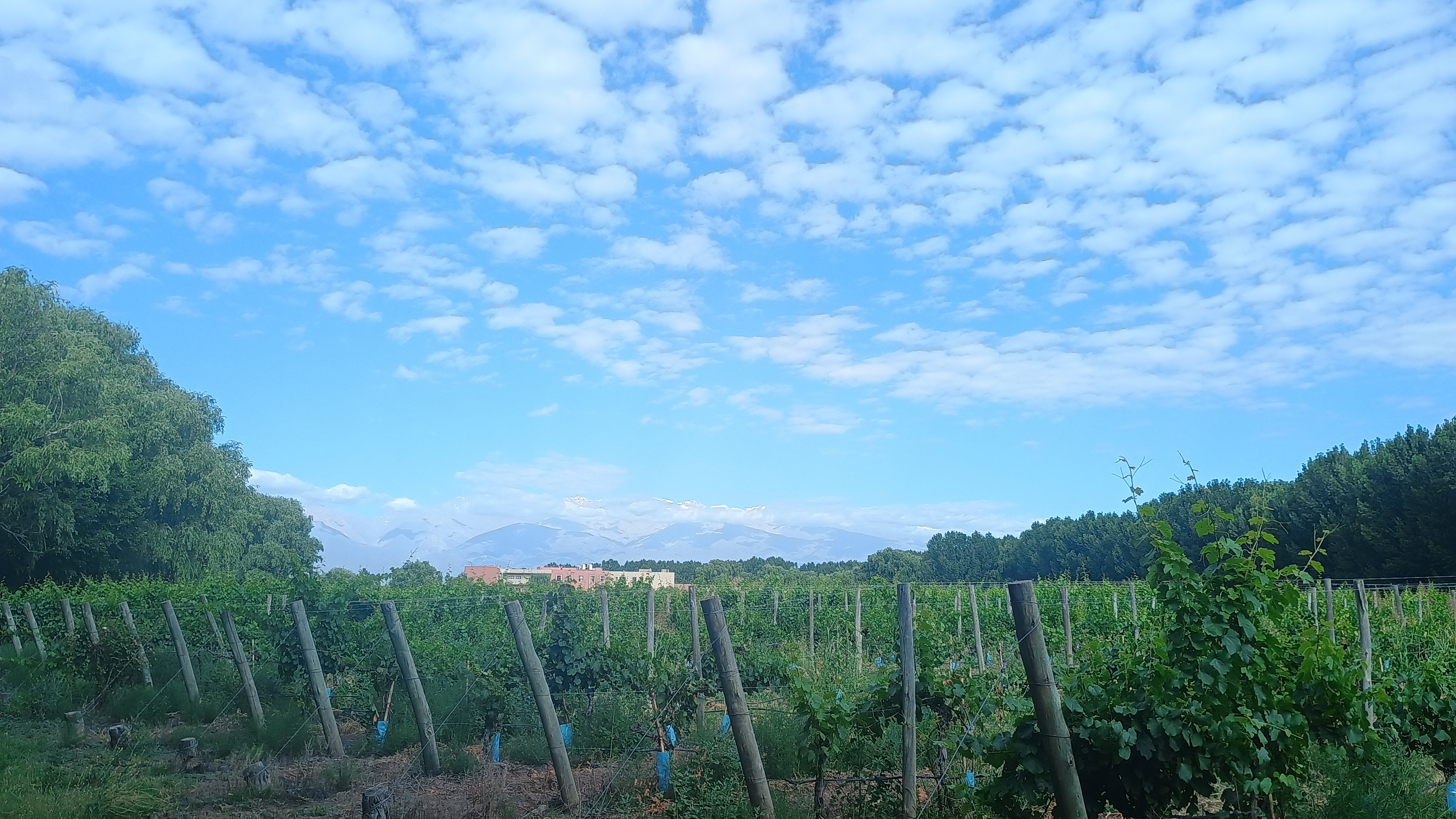 Paisaje en Tunuyán, Mendoza.